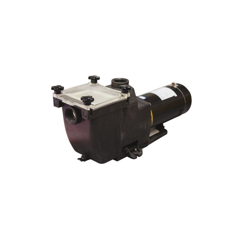 TidalWave 1 HP Replacement Pump For In-Ground Pools (NE8151)