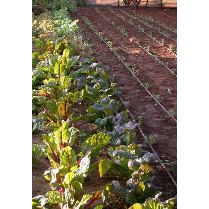 ELGO 2-in-1 Watering Kit - Misting Sprinklers & Dripper Set (ELMGS48)