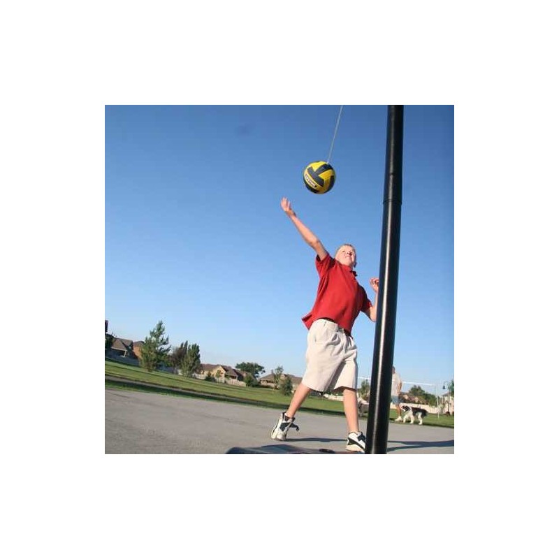 Lifetime Portable Tetherball Kit - Black Pole (90029)