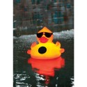 Blue Wave Derby Duck Solar Light Up Pool & Spa Chlorinator (NA3394)