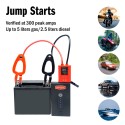 Weego Jump Starter Charger (N22S)