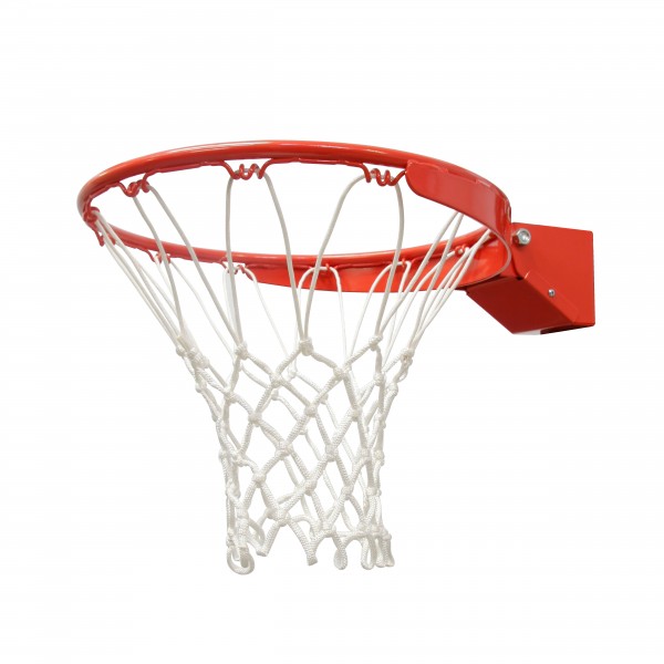 Lifetime 54 Inch InGround Basketball Hoop SteelFramed Shatterproof