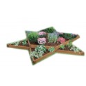 Frame It All 12' x 12' x 11” Classic Sienna Raised Garden Bed Garden Star - 2” profile (300001160)