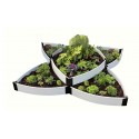 Frame It All Monarch Migration Station Deluxe Butterfly Pollinator Garden - White (300001507)