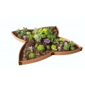 Frame It All Composite Butterfly Pollinator Garden (1 inch profile) [300001506]