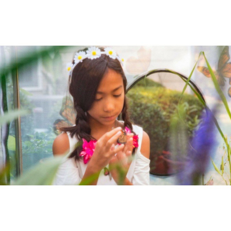 Frame It All Backyard Butterfly Learning Center - 8ft. X 7ft. Hexagon (1 Inch Profile) [300001505]