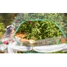 Frame It All Backyard Butterfly Learning Center - 8ft. X 7ft. Hexagon (1 Inch Profile) [300001505]