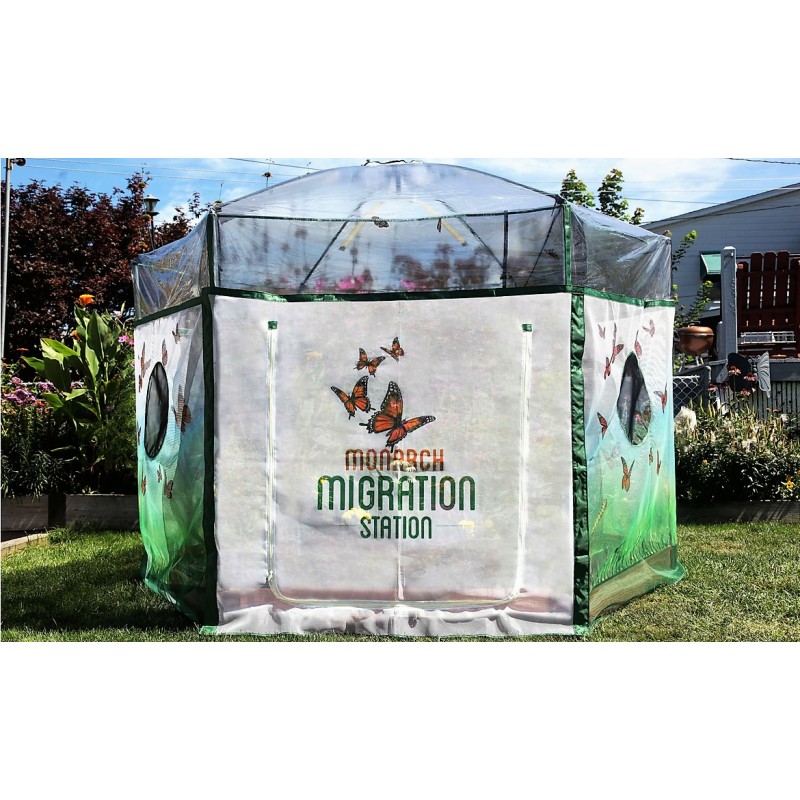 Frame It All Backyard Butterfly Learning Center - 8ft. X 7ft. Hexagon (1 Inch Profile) [300001505]