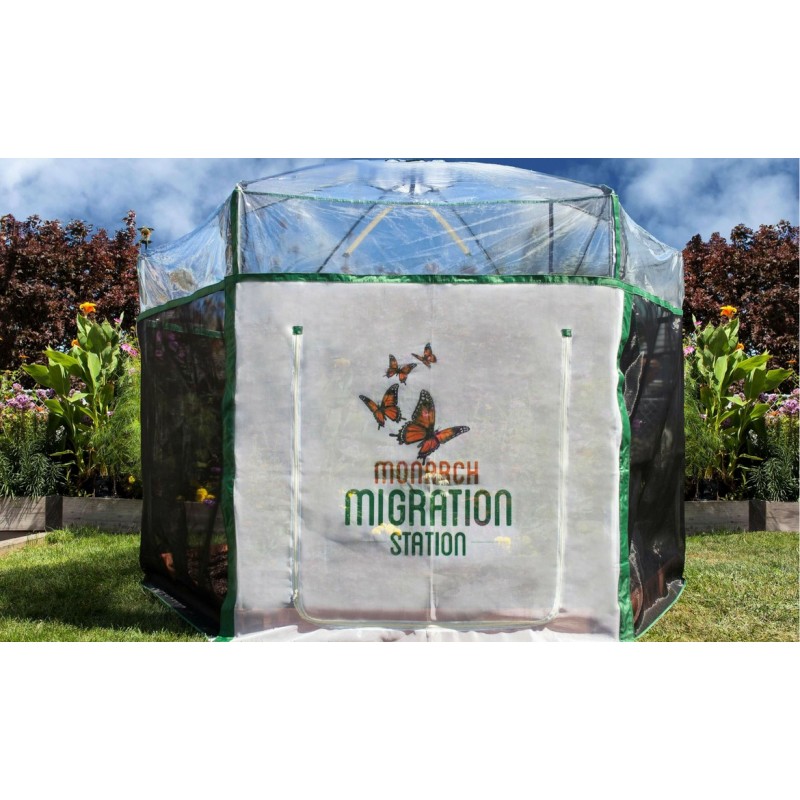 Frame It All Pro Butterfly Learning Center - 8ft. X 7ft. Hexagon (1 Inch Profile) [300001504]