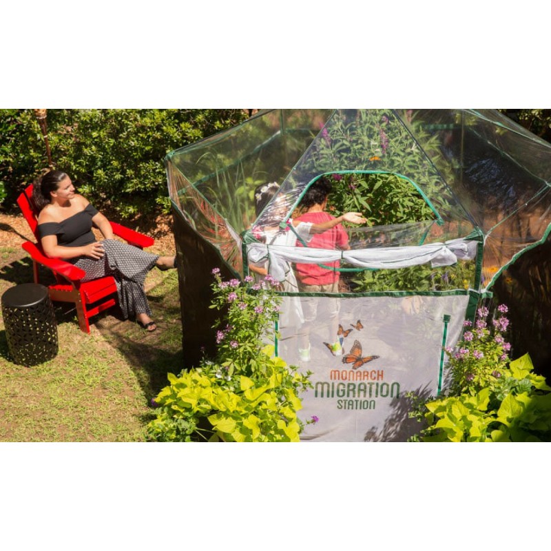 Frame It All Pro Butterfly Learning Center - 8ft. X 7ft. Hexagon (1 Inch Profile) [300001504]