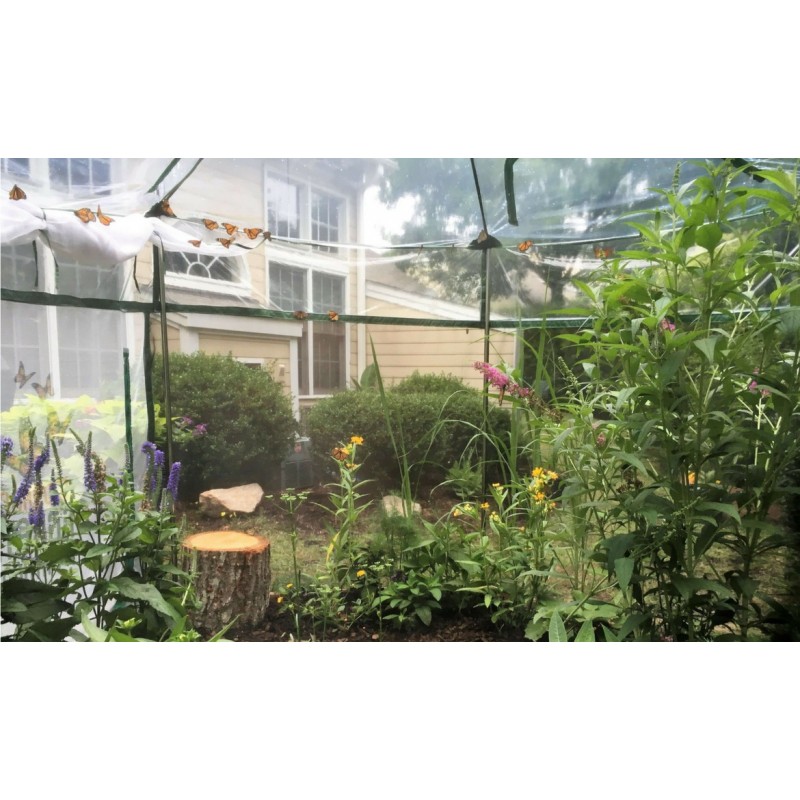 Frame It All Pro Butterfly Learning Center - 8ft. X 7ft. Hexagon (1 Inch Profile) [300001504]