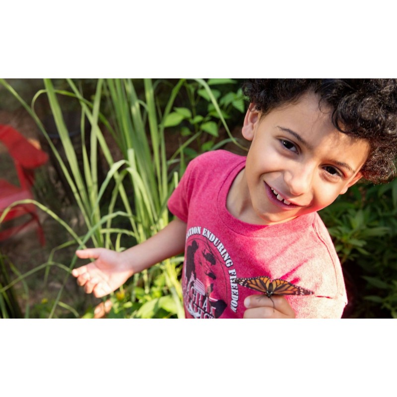 Frame It All Backyard Butterfly Pollinator - 4ft. X 8ft. Rectangle (1 Inch Profile) [300001503]