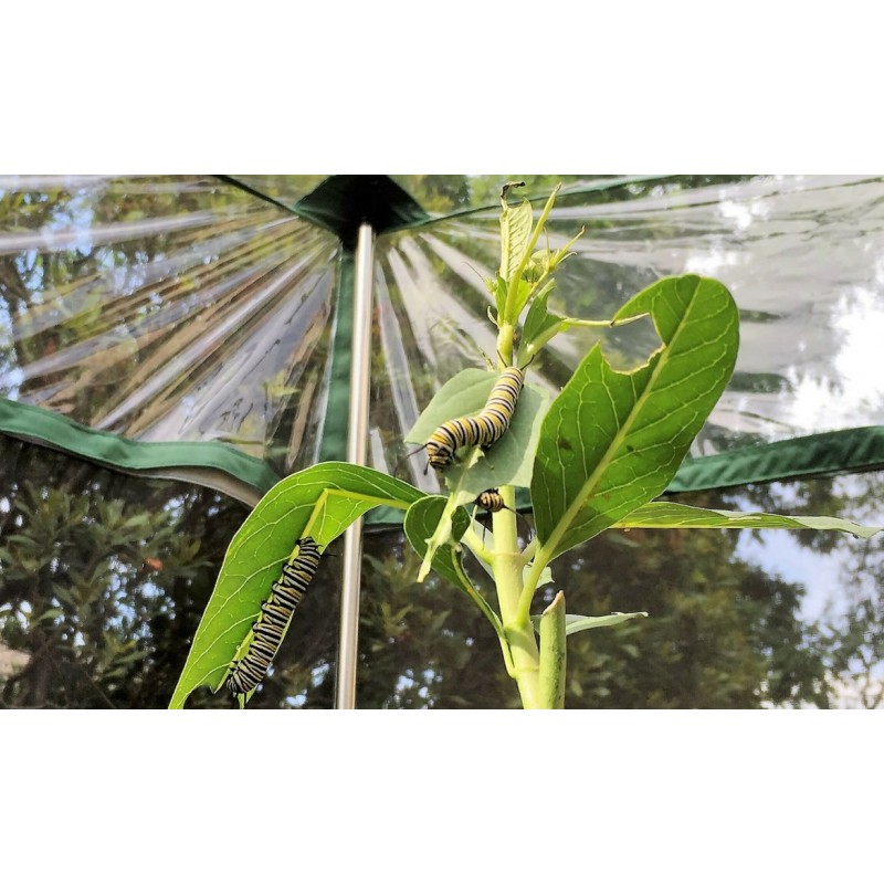 Frame It All Pro Butterfly Pollinator - 4ft. X 8ft. Rectangle (1 Inch Profile[300001502]