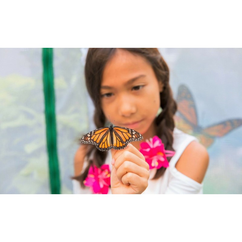 Frame It All Pro Butterfly Pollinator - 4ft. X 8ft. Rectangle (1 Inch Profile[300001502]