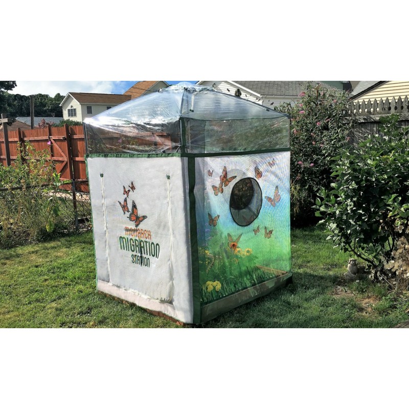 Frame It All Backyard Butterfly Nursery - 4x4 Square 1in. (300001501)