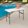 Lifetime 4-Foot Nesting Commercial Table (280478) Lifetime 4-Foot Nesting Commercial Table (280478)