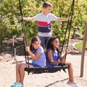 Lifetime Spider Swing (90850)