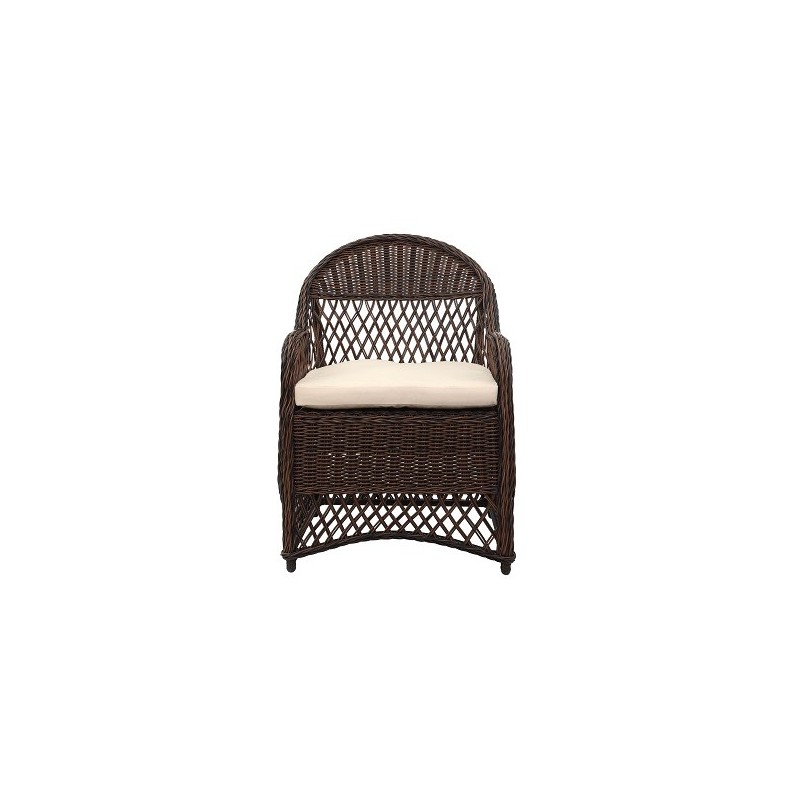 DAVIES WICKER ARM CHAIR WITH CUSHION
