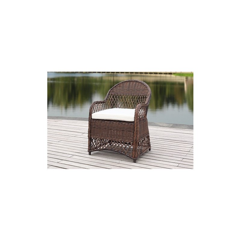DAVIES WICKER ARM CHAIR WITH CUSHION