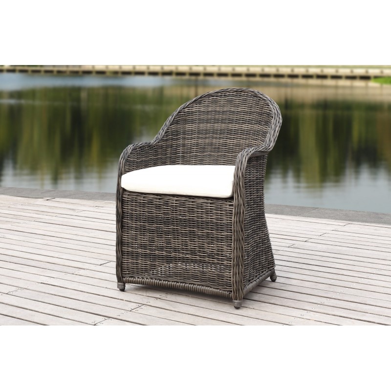 Safavieh Newton Wicker Arm Chair with Cushion - Grey/Beige (PAT2509A)