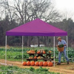 ShelterLogic 10x10 Straight Leg Pop-up Canopy - Purple (22703)