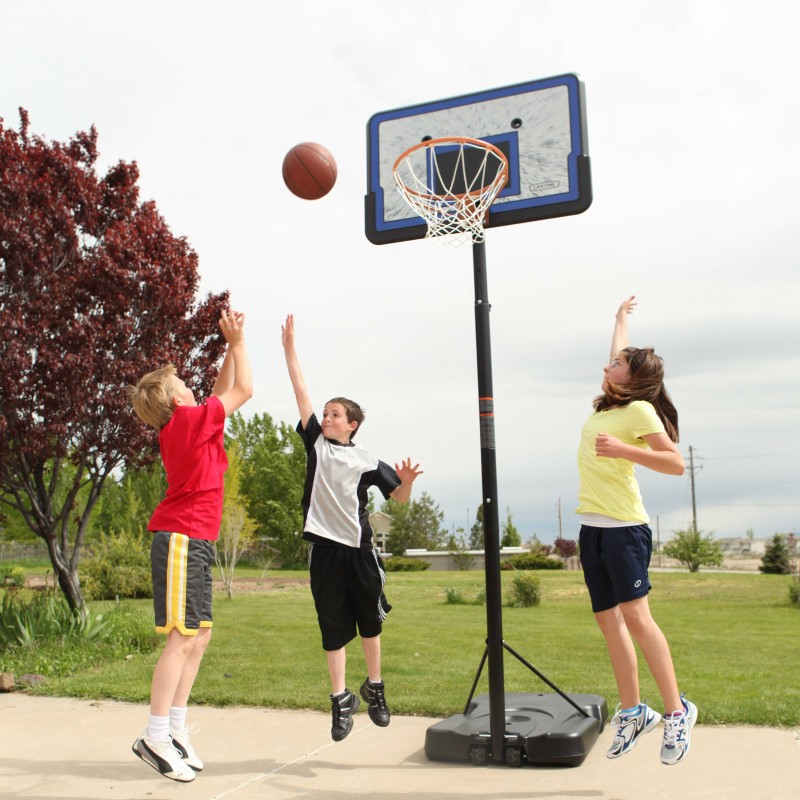 Lifetime 44 in. Pro Court Portable Basketball Hoop (1221)