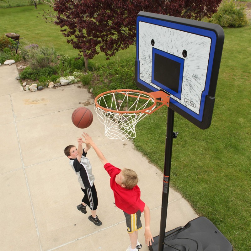 Lifetime 44 in. Pro Court Portable Basketball Hoop (1221)