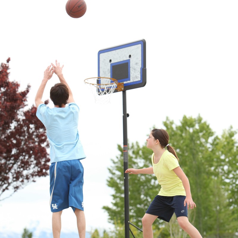 Lifetime 44 in. Pro Court Portable Basketball Hoop (1221)