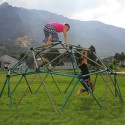 Lifetime Kids Metal Dome Climber - Green and Tan (90136)