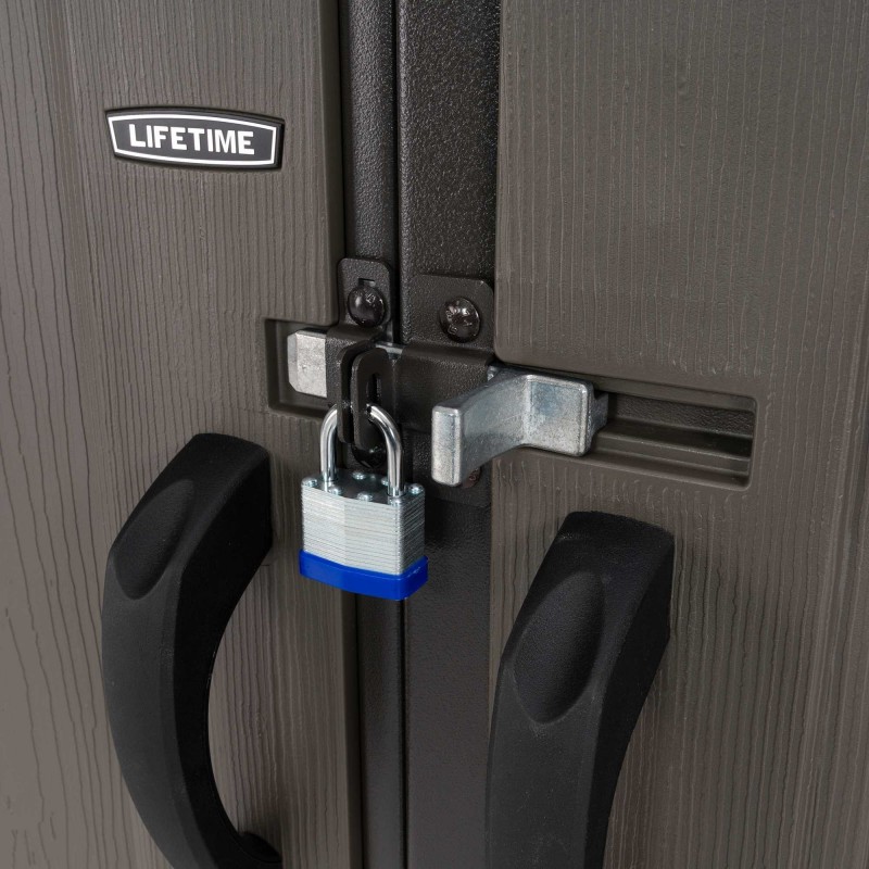 Lifetime 8x10 Outdoor Plastic Storage Shed with Skylights & Window (60332)