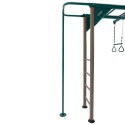 Lifetime Monkey Bar Adventure Swing Set - Earthtone (91028)