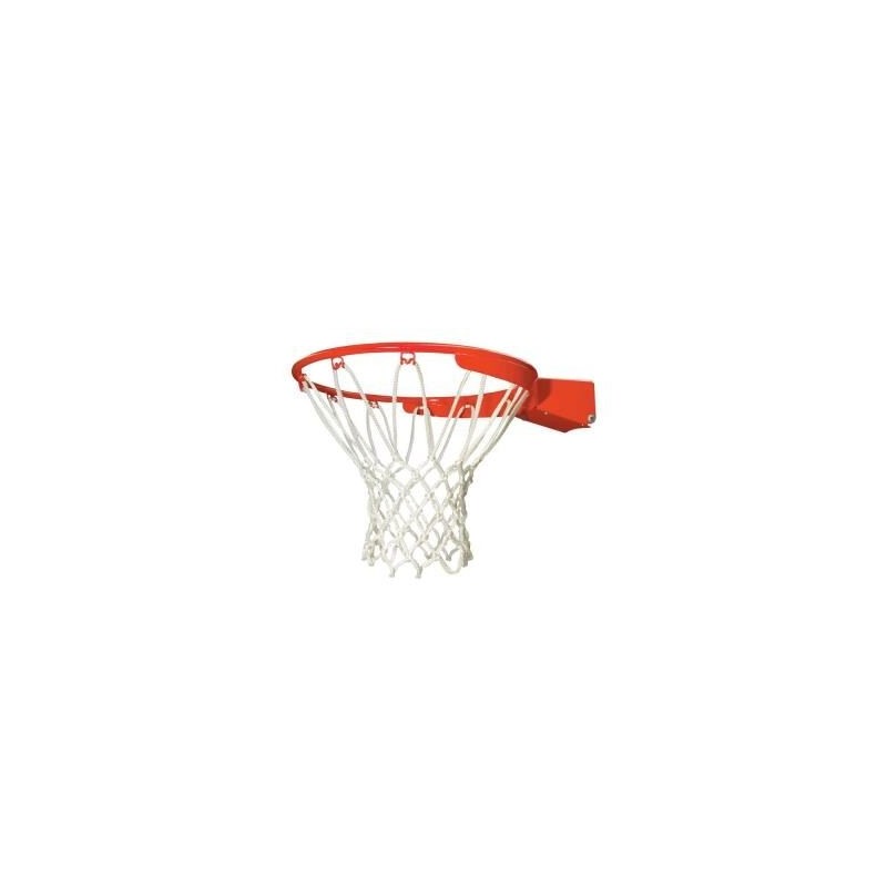 Lifetime Slam-It-Pro Basketball Rim and Net - Orange (5000)