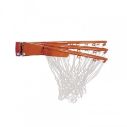 Lifetime Slam-It-Pro Basketball Rim and Net - Orange (5000)
