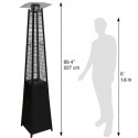 Blue Sky Outdoor Liquid Propane Patio Heater - Black Steel (PHPG8919B)