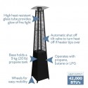 Blue Sky Outdoor Liquid Propane Patio Heater - Black Steel (PHPG8919B)