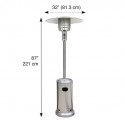 Blue Sky Outdoor Liquid Propane Patio Heater - Stainless Steel (PHG8732SS)