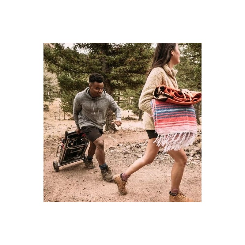 Weber Traveler Portable Gas Grill - Black (9010001)