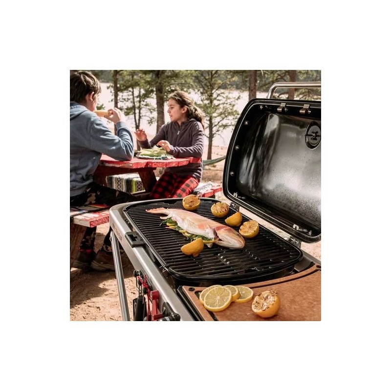 Weber Traveler Portable Gas Grill - Black (9010001)