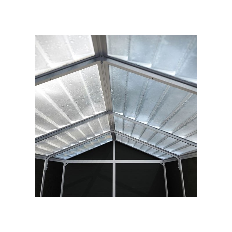 Palram  - Canopia Rubicon 6x12 Shed with Floor - Dark Grey (HG9712GY)