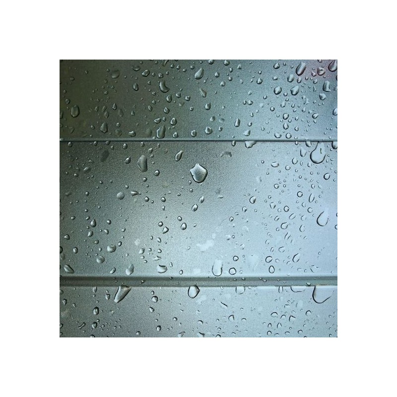 Palram  - Canopia Rubicon 6x12 Shed with Floor - Dark Grey (HG9712GY)