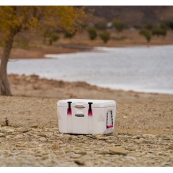 Lifetime 55 Quart Cooler White and Pink - (91245)