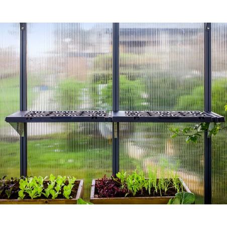 Palram - Canopia Greenhouses Shelf Kit - Canopia Leaves (HG1037)