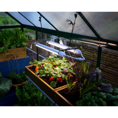 Palram - Canopia Brighton - Greenhouse LED Grow Light (HG1042)