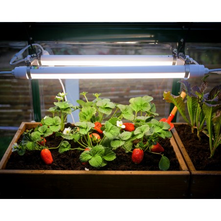 Palram - Canopia Brighton - Greenhouse LED Grow Light (HG1042)