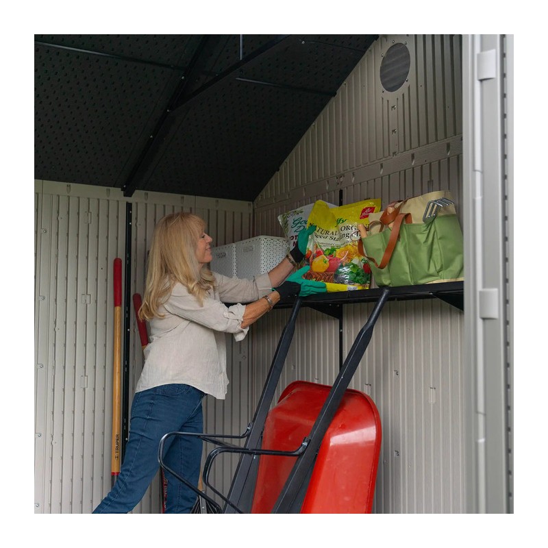 Lifetime 10x8 Outdoor Plastic Storage Shed Kit (60393)