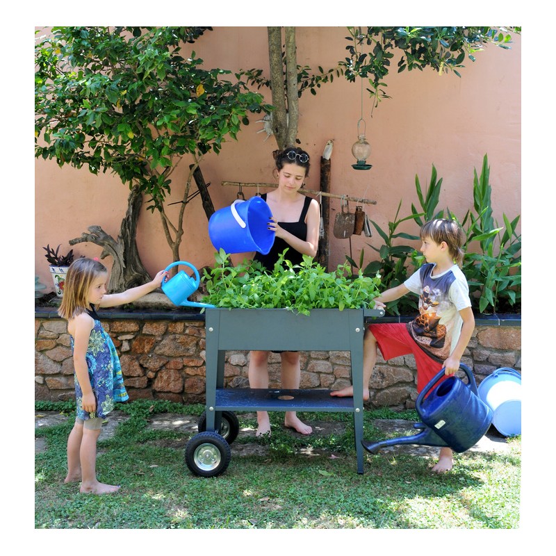 Herstera Garden Trolley - Black (HER1001)