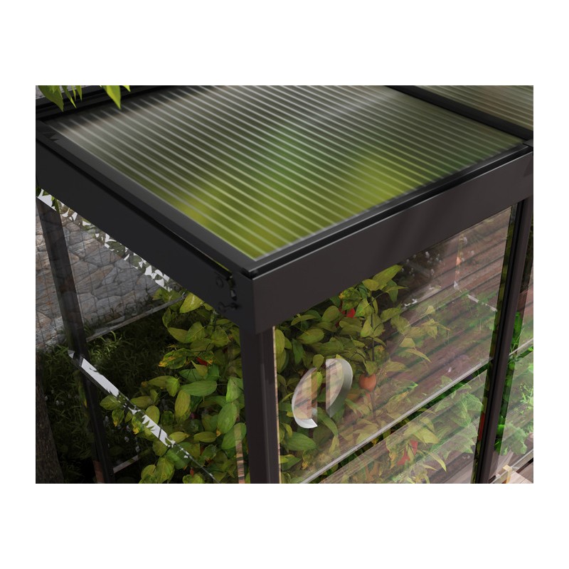Palram - Canopia Ivy 4' x 2' Mini Greenhouse - Black (HG4900)