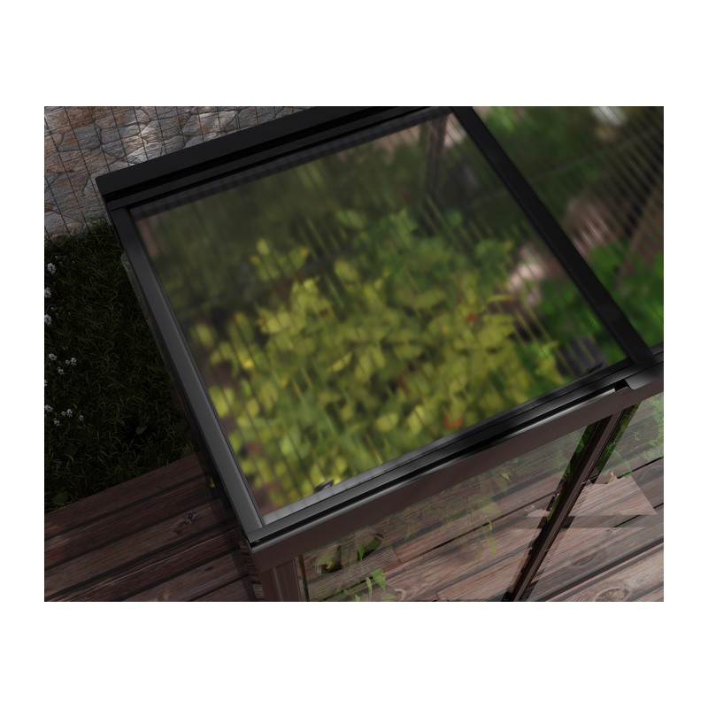 Palram - Canopia Ivy 4' x 2' Mini Greenhouse - Black (HG4900)