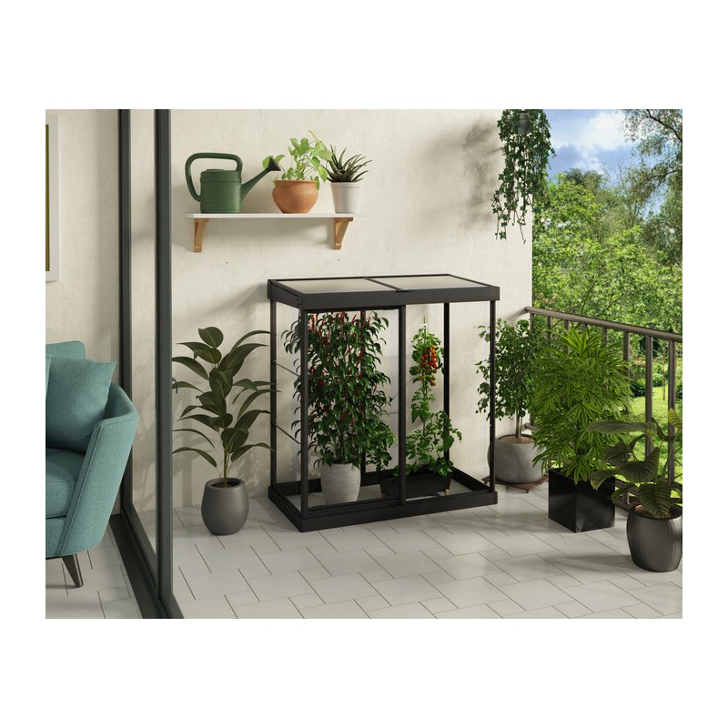 Palram - Canopia Ivy 4' x 2' Mini Greenhouse - Black (HG4900)