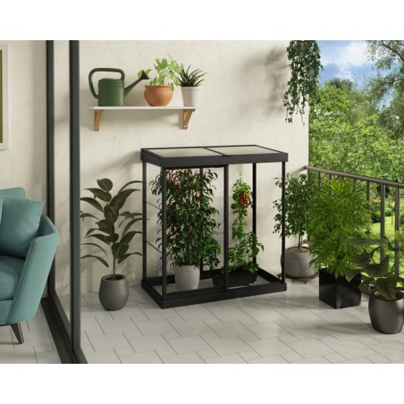 Palram - Canopia Ivy 4' x 2' Mini Greenhouse - Black (HG4900)